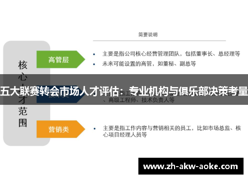五大联赛转会市场人才评估：专业机构与俱乐部决策考量
